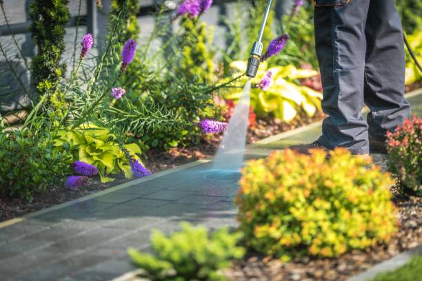 Best Sidewalk and Walkway Cleaning  in Sutter Creek, CA